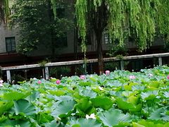 -四川大学(望江校区)