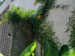-吴越荣记苏州菜·松鼠桂鱼100%活鱼现做(斜塘老街店)