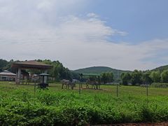 -哈尔滨北方森林动物园
