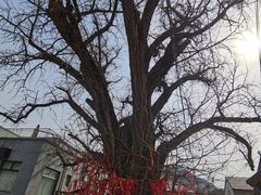 -康陵正德春饼宴26号