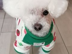 -美联众合动物医院·24h转诊中心