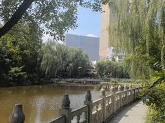 -文瀛公园