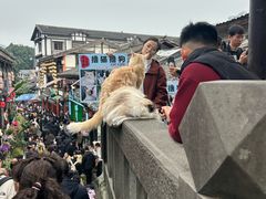 -磁器口古镇