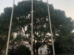 -杭州西溪喜来登度假大酒店