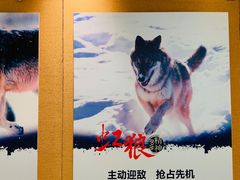 -浦发银行(虹口支行)