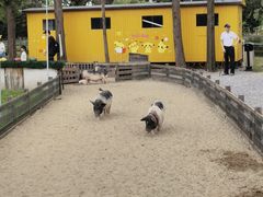 -前小桔亲子创意农场·草莓采摘·露营烧烤