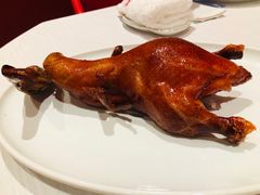 -东富酒家(龙湖西溪天街店)
