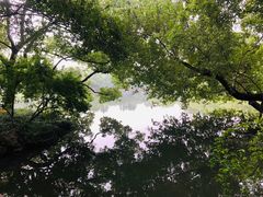 -西湖游船