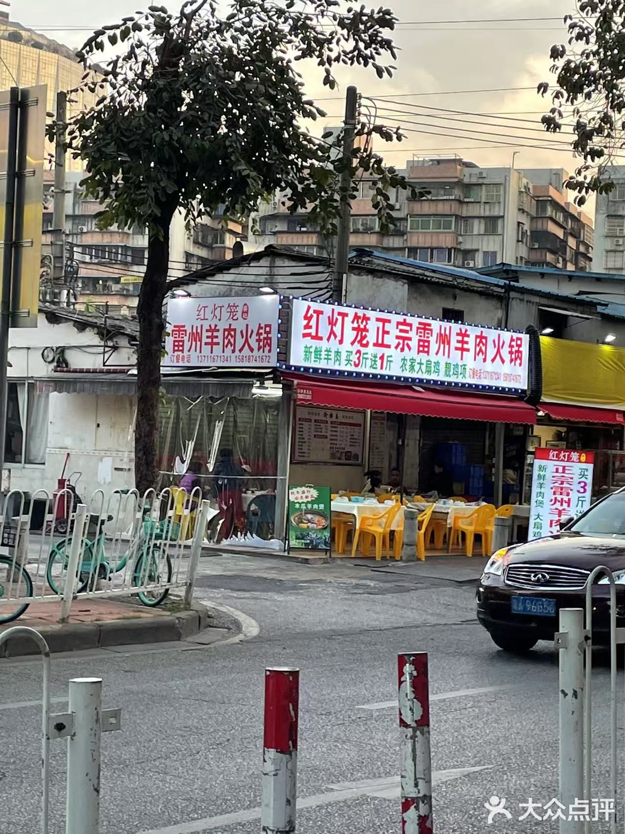 今日份羊肉煲来一锅