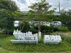 -宝安西湾红树林湿地公园