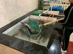 -山城家常菜铁锅炖鱼