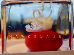 -BLACKSWAN黑天鹅(环球店)