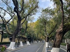 -颐和路民国时期公馆风貌区