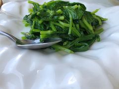 清炒豌豆尖-素心小筑(后沙裕镇店)