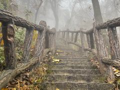 -秦岭终南山世界地质公园翠华山景区