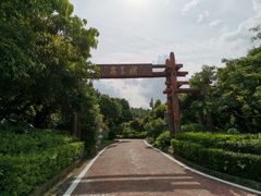 -大屏嶂森林公园
