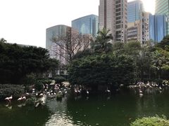 -九龙公园