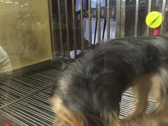 -宠物世家(仲盛世界商城店)