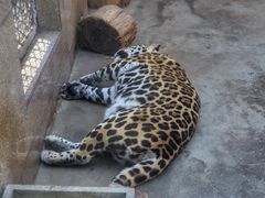 -西安秦岭野生动物园