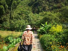 -生态苑农庄(十里画廊遇龙河店)