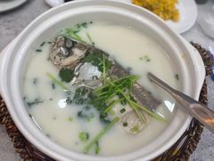 -紫藤园·天目湖大鱼头(南山竹海店)