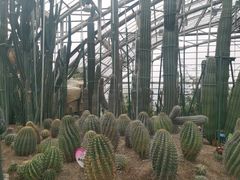 -南山植物园