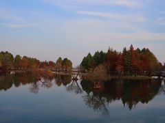 -贡湖湾湿地公园