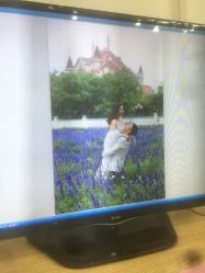 -公主婚纱摄影(阳春店)