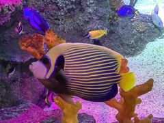 -沈阳海洋探索中心