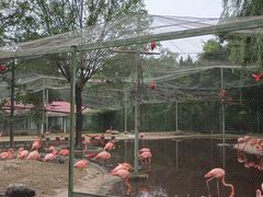 -石家庄市动物园