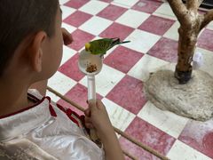 -上海大自然野生昆虫馆(东方明珠·爬宠昆虫探索中心)