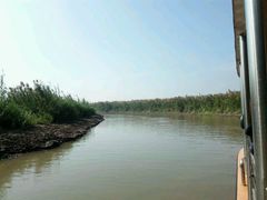 -大湾区中央湿地公园