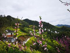 -石潭村