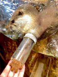 -Zoolung Zoolung动物主题公园(海信广场店)