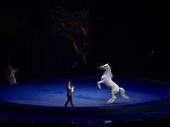 -珠海横琴长隆《卡卡虎奇遇记》