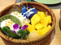 -mango tree芒果树(万象城店)