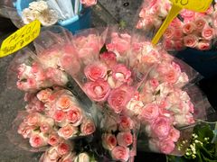 -循礼门鲜花花市(武汉循礼门店)