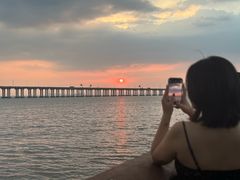 -宝安西湾红树林湿地公园