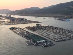 -北岐滩涂