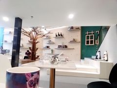 -飞行喵MR PILOT|猫舍·猫咖(静安大融城店)
