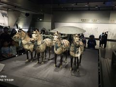 -秦始皇帝陵博物院-丽山园