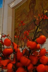 -天邑国际酒店·宴会厅