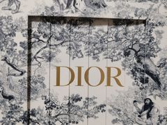 -Dior迪奥(国贸商城店)