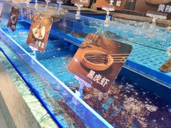 -海底捞火锅(长宁路龙之梦店)
