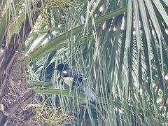 -清晖小苑•顺德地方菜(壹海城店)