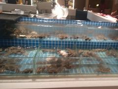 -星伦多自助料理·涮烤一体(杭州来福士店)