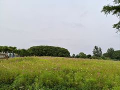 -嘉北郊野公园