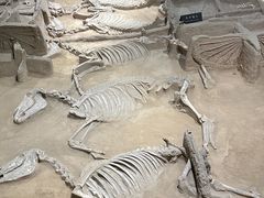 -洛阳周王城天子驾六博物馆