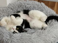 -拜鲁耶动物诊疗中心·宠家动物医院