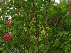 -国家植物园南园